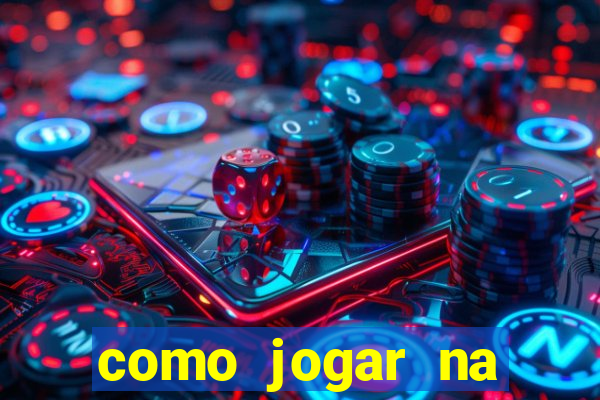 como jogar na lotinha do jogo do bicho